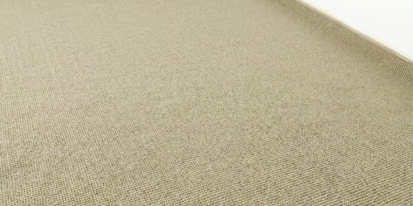 Carpet Removal Before