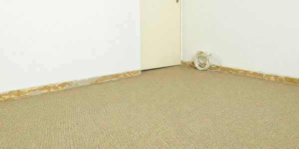 Carpet Removing Before